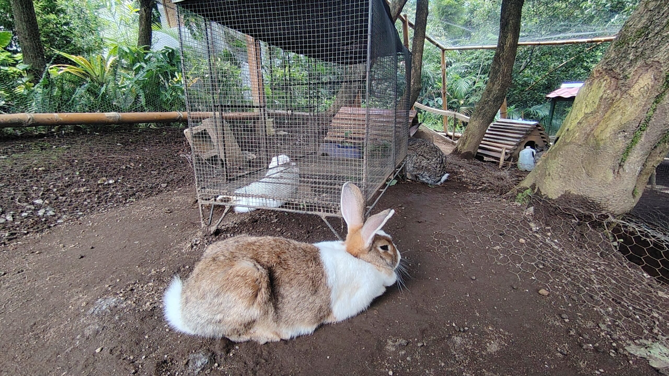 Vista del vivero de Casa Conejo